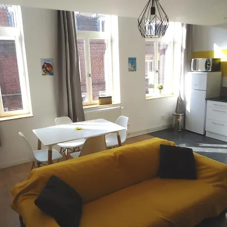 Appartement Lille/1Ch/Stationnement Gratuit Esterno foto